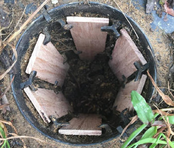 Exterra Termite Baiting System