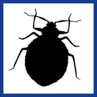 Zone Pest Bed Bug management