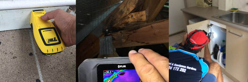 Pre - Purchase Timber and Pest Inspections - What to Expect