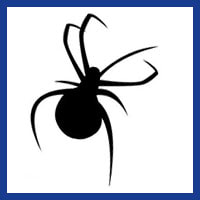 Zone Pest Spider Managment
