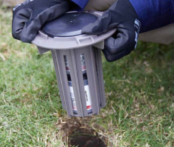 Zone Pest Install Trelona Advanced Termite Baiting System